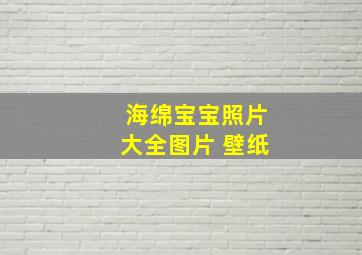 海绵宝宝照片大全图片 壁纸